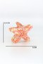 Gradient-Colored Starfish Buckled Hair Clip - 3