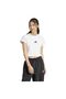W FI SL BB TEE