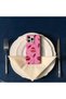 iPhone 18 Pro Max (6.9-inch) Compatible Patterned Burga Series Double-Layered Premium Case - 4