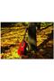 Cakasepetim Guitar in Nature 255 Piece Puzzle Jigsaw Mdf (Wood)