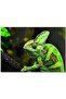 Bukelemun Green 255 Piece Puzzle Jigsaw Puzzle Mdf (wood)