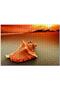 Seashell 255 Piece Puzzle Jigsaw Puzzle Mdf (wood)