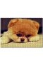 Baby Chow 255 Piece Puzzle Jigsaw Puzzle Mdf (wood)