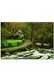 Cakasepetim Dere Ev Yol Doğa 255 Piece Puzzle Jigsaw Mdf (Wood)