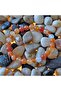 Bracelet for Creativity • Inspiration • Passion (17 cm Length) - Natural Carnelian Stone - 5