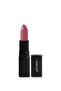 Lipsatin Lipstick 301 - Soft Formula Lipstick, 4.5 G, 5901905000049