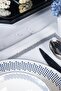 قطعتان من تأثير الكتان المطرز بالقزحية الأمريكية (بريق فضي) - 2