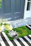 Rick Door Front Mat Decorative Outdoor/House Interior/Bathroom/Kitchen/Bedroom/Entryway Door Mat - 3