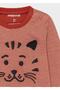 Baby Boy Crew Neck Tracksuit Set - 2