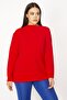 Women's Large Size Red Stand-Up Collar Blouse 65n29469