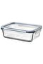 1.0 Lt 21X15X7 cm Rectangular Storage Container - Glass Plastic