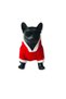 Santa Claus Fleece Costume Special for Dogs and Cats - 3