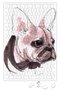 Pug Dog French Bulldog Puzzle 240 Piece Jigsaw