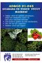 Body Mask with Guarana and Seaweed - 3