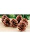 Pine Cone Christmas Tree Ornament Set of 6 - 2