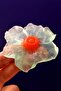 Coconut Scented Transparent Water Lily Flower Figured Decorative Bath Soap - 100% Natural - 2