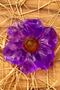 Decorative Gift Jasmine Scented Purple Water Lily Flower Figured Decorative Bath Soap - 100% Natural