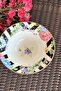 3060bg 20 cm Footed Salad Bowl - 4