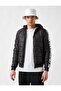 Stripe Printed Puffer Jacket - 3