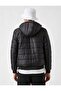 Stripe Printed Puffer Jacket - 4
