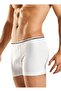 Underwear 1097 Cotton Lycra Boxer Briefs Panties Pack of 3 - 2