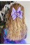 Lilac Purple Butterfly Bow with Crystal Stone Luxury Design Children's Adult Metal Clip Buckle