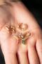 Women's Hoop and Colorful Stoned Star Earrings Model Earring Set - 2