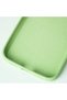 iPhone 12 Pro Max Compatible Softy Lavenders Designed Green Launch Phone Case - 4