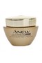 Anew Ultimate Multi Performance Gece Kremi 50 ml