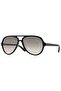 Rb 4125 601/32 59 Unisex Sunglasses - 2