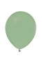 Pastel Mold Green Sage Balloon 10 Pieces