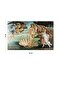 Botticelli Birth of Venus Wall Cover Carpet 140x100 cm 70x100 cm - 3