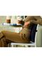 2 Pieces Visco Orthopedic Waist Back Cushion - Car Office Chair Waist Cushion Chair Pillow - 4