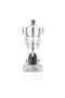 Decorative Transparent Spice Mill - Salt and Pepper Grinder - 3