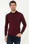 Claret Red Men's Sweater G021SZ0TK.000.1388582 - 3