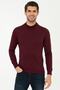 Claret Red Men's Sweater G021SZ0TK.000.1388582