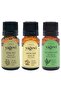 100% Pure Thyme Oil 10ml + Lemon Oil 10ml + Tea Tree Oil 10ml 3-Piece Essential Oil Set (Medium Size)