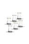 Woody 12 Piece Tea Set Porcelain Tea Cup with Saucer - 2