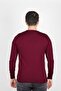 Regular Men's Knitwear Plum Sweater Crew Neck Winter - 4