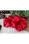 Women's Set of 2 Satin Hair Rubber Buckles Red Buckle032