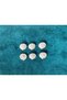 24 Seashell Buttons - 2