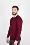 Regular Men's Knitwear Plum Sweater Crew Neck Winter