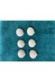 24 Seashell Buttons