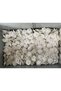 24 Seashell Buttons - 3