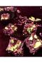 Special Turkish Delight with Rose Petals and Pistachios and Pomegranate 500 G. - 2