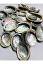Real Seashell 50 Grams - (Pearlescent - Nacreous)