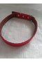 Large Breed Adult Dog Collar 80 Cm Width 3 Cm - 2