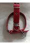 Large Breed Adult Dog Collar 80 Cm Width 3 Cm - 3