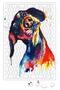 Dog Dog Dog Pug Puzzle 240 Piece Jigsaw Puzzle