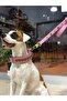Pembe Köpek Tasma - 2